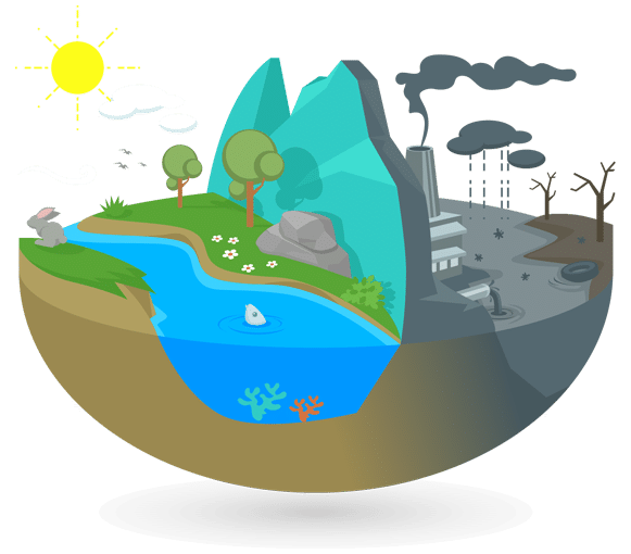 Environmental Sustainability Management System