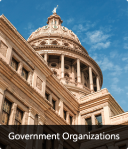 government organization